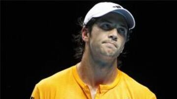 <b>Fernando Verdasco</b>.