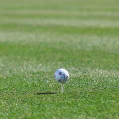 How did Bart Bryant die?