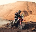 Otro golpe de Schareina para liderar el Dakar