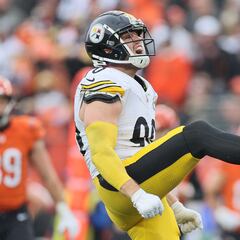 Los Steelers sueñan con los playoffs tras triunfo sobre Bengals