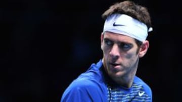 Juan Martin Del Potro.