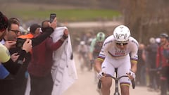 Si me trasplantan las heces de Pogacar, ¿me pondré tan fuerte como él?: una bacteria intestinal aumenta la fuerza muscular