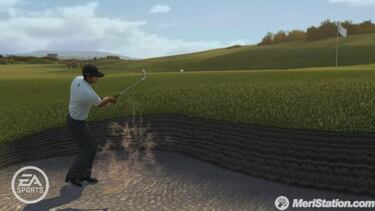 Tiger Woods PGA Tour 10, Impresiones