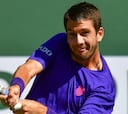 Norrie y Dimitrov se meten en semifinales contra pronóstico