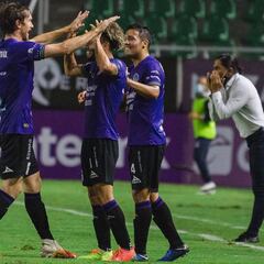Este fue el insecto que se vio en la cancha del Mazatlán FC