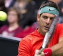Martín del Potro y Berdych avanzan a cuartos de final
