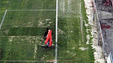 <B>48 HORAS ANTES</B>. El césped del Pizjuán presentaba este aspecto ayer.