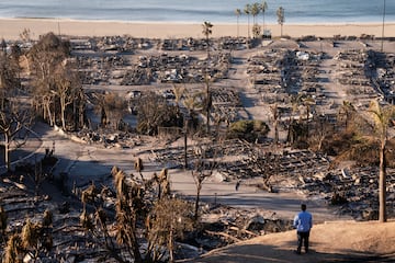 Imagen devastadora del barrio residencial Palisades que ha quedado totalmente destruido, por los incendios que  han arrasado ms de 15.000 hectreas en Los ?ngeles.