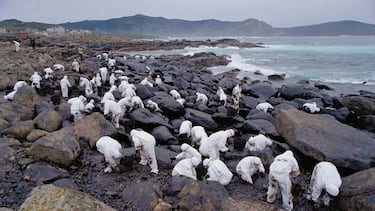 Aparecen ‘galletas’ de chapapote en varias playas de Galicia