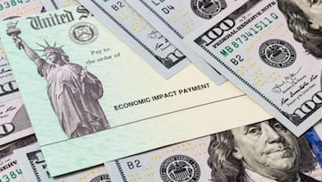 Con la variante Ómicron propagándose en Estados Unidos, no deja de surgir la duda: ¿Es posible un nuevo pago del cheque de estímulo? Aquí los detalles.