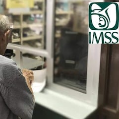 Pensión IMSS de julio: cuándo se paga y qué requisitos debo cumplir