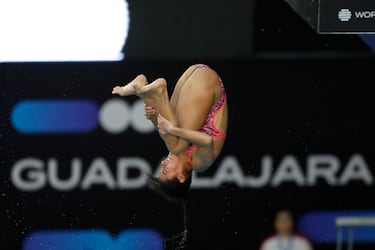 Gobierno de Jalisco se resiste a perder la Copa del Mundo de Clavados