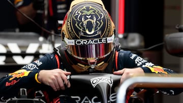 Max Verstappen explica por qué contrató guardaespaldas en México