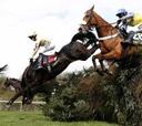 El caballo irlandés Teaforthree, favorito en el Grand National