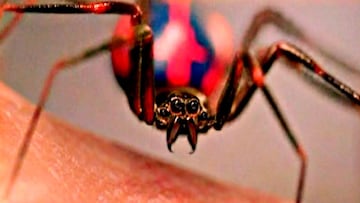 El director de la trilog¨ªa de Spider-Man en el UCM revela por qu¨¦ no mostraron la picadura de ara?a