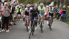 Nairo Quintana, Alberto Contador, Omar Frile y Fabio Felline suben el tramo de La Huesera durante la subida a los Lagos de Covadonga en la Vuelta a Espa&ntilde;a 2016.