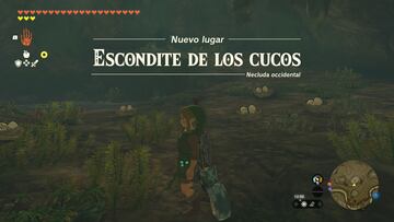 the legend of zelda tears of the kingdom nintendo switch guia misiones secundarias en busca de los cucos