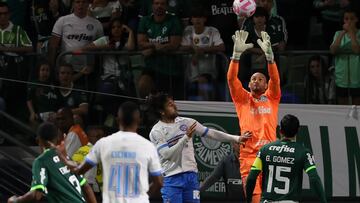 Palmeiras vs. Bahia por la fecha 30 del Brasileirao.