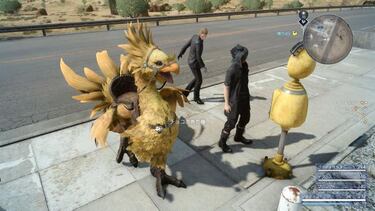 Conocemos a los chocobos de Final Fantasy XV