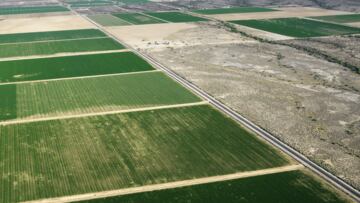 Qué es una Parcela de agrado, cuál es su uso y decreto del Ministerio de Agricultura al SAG