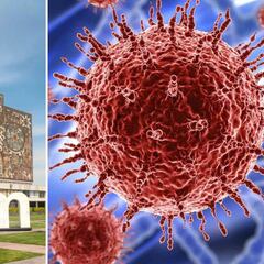 UNAM alerta por nuevo comportamiento del Covid-19 y recomienda volver a utilizar el cubrebocas