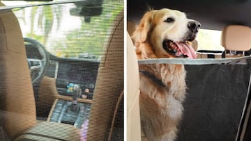 Cubierta de asiento para el coche que hace que viajar con perros resulte m¨¢s c¨®modo y limpio