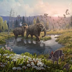 Hallazgo histórico en el ADN más antiguo conocido: revelan un ecosistema paradisiaco