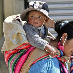 Bono Familiar Universal: ¿cuántas visitas recibió la plataforma y cuántos se empadronaron?