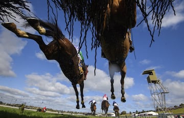 Las carreras de caballos son de por sí emocionantes, y más aún desde el punto de vista de una cámara situada
en uno de los obstáculos a pie de pista. En la imagen, Darryl Horner Jr, a lomos de Flying Agent, corre en cabeza para
derrotar a Steven Pateman y a su montura Bit of a Lad durante el Carnaval de Saltos de Warrnambool (Australia).