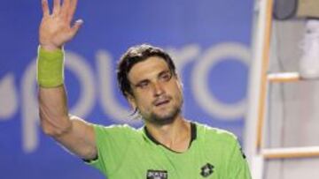 David Ferrer celebra su triunfo ante su compatriota Feliciano López.