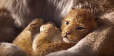 El Rey León y 10 semejanzas entre ‘live action’ y dibujos animados