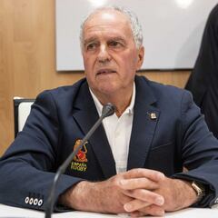 Feijoo dimite tras la expulsión de España del Mundial