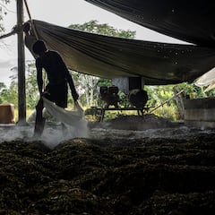 EE. UU. analiza recortar las ayudas a Colombia: este es el motivo y cómo podría afectar a la economía