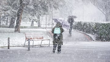 Una mujer se refugia de la nieve con un paraguas en Vitoria-Gasteiz, a 18 de enero de 2023, en Vitoria-Gasteiz, Álava, País Vasco (España). La ciudad de Vitoria ha amanecido cubierto de un manto blanco de nieve después de que bajara la cota de nieve a los 200 metros. La nieve y el hielo han provocado problemas en las carreteras alavesas y se han cerrado puertos.
18 ENERO 2023;NIEVE;VITORIA;VITORIA-GASTEIZ;TEMPORAL;FRIO;INVIERNO;NEVADA
Iñaki Berasaluce / Europa Press
18/01/2023