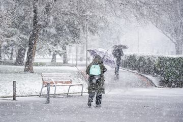 Una mujer se refugia de la nieve con un paraguas en Vitoria-Gasteiz. La ciudad de Vitoria ha amanecido cubierto de un manto blanco de nieve después de que bajara la cota de nieve a los 200 metros. La nieve y el hielo han provocado problemas en las carreteras alavesas y se han cerrado puertos.