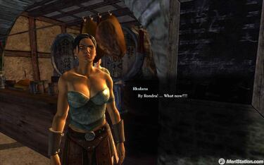 Drakensang: The Dark Eye, Impresiones