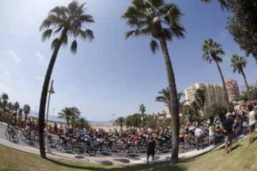 El pelotón rueda durante la sexta etapa de La Vuelta Ciclista a España 2014, que ha partido hoy de la localidad malagueña de Benalmádena y que terminará en el Alto de Cumbres Verdes.