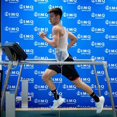 Arrancan las pruebas médicas de los leones