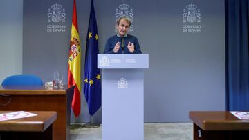 GRAF3001. MADRID, 19/04/2021.- El director del Centro de Coordinaci&oacute;n de Alertas y Emergencias Sanitarias (CCAES), Fernando Simon, durante la rueda de prensa ofrecida este lunes en Madrid para hablar de los &uacute;ltimos datos de la pandemia del c