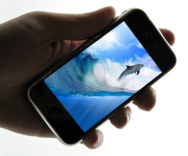 Ecco the Dolphin necesita tu dinero para su sucesor espiritual