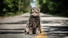 Stephen King no se cree que su novela más terrorífica fuera publicada: “Fui demasiado lejos”