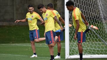 La Selección Colombia entrenó con 23 jugadores luego de la llegada de Farid Díaz a Milanello. El equipo viajará el 12 de junio a Rusia