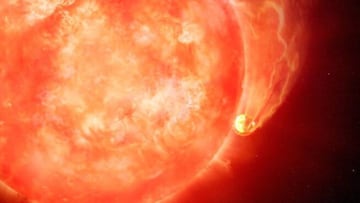 A Glimpse into Earth's Inevitable Demise: Astronomers Observe a Planet Engulfed by its Star