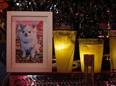 El verdadero significado del Día de Muertos: por qué en México no se muere nadie