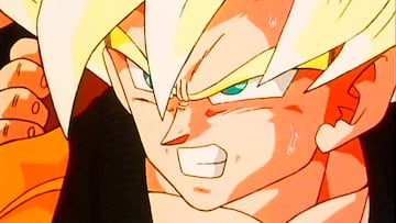 Dragon Ball Z Last House