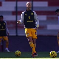 Cómo y dónde ver el Tigres - Necaxa de la fecha 16 de la Liga MX