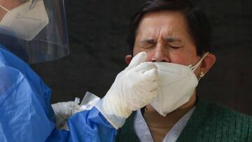 Vacuna intranasal contra el covid: cuándo se conocerán los resultados de los ensayos