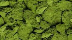 El microorganismo que está presente en todos los ecosistemas y tiene superpoderes