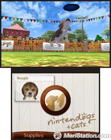 Captura de pantalla - 3ds_nintendogs_05ss05_e3.jpg