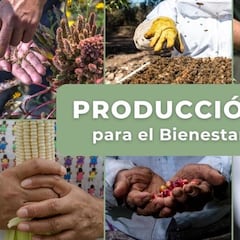 Así puedes obtener los 24 mil pesos que otorga Apoyo Bienestar: debes cumplir este imprescindible requisito